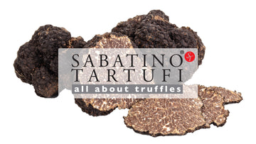 Truffle Quick Facts And Q&A