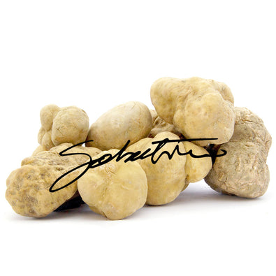 Fresh White Truffles - Sabatino Truffles