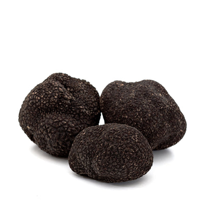 Fresh Black Winter Truffles  4 oz (Tuber Melanosporum) - Sabatino Truffles