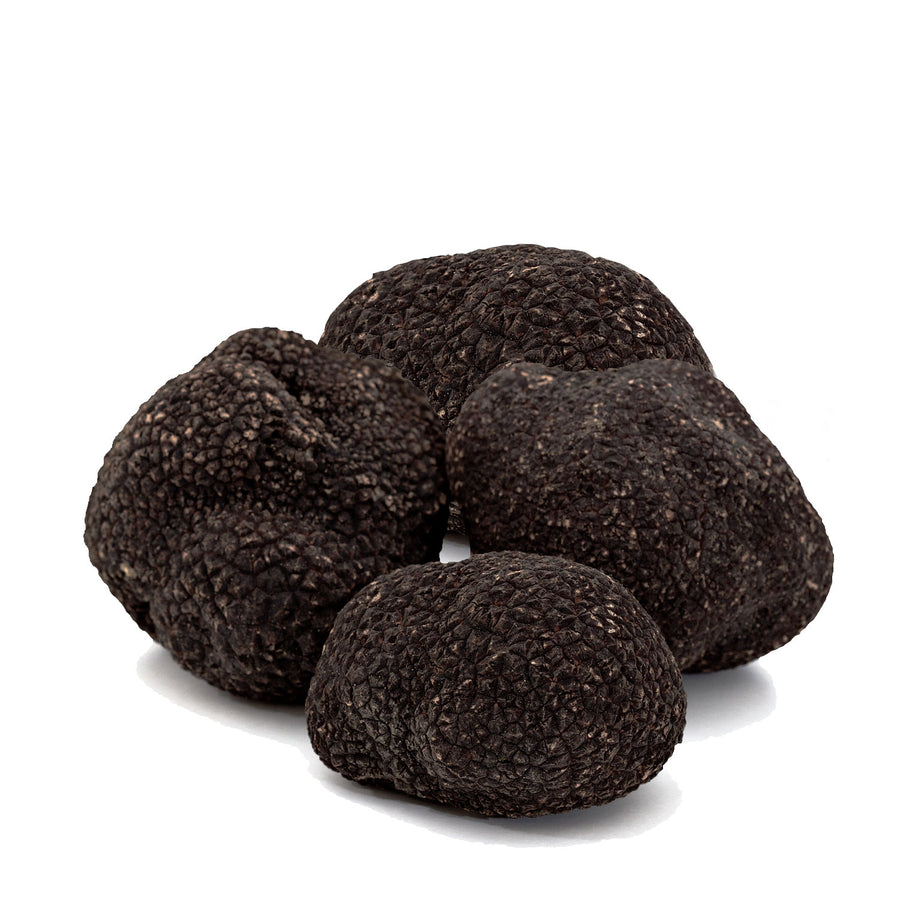 Fresh Black Winter Truffles 8 oz (Tuber Melanosporum) - Sabatino Truffles
