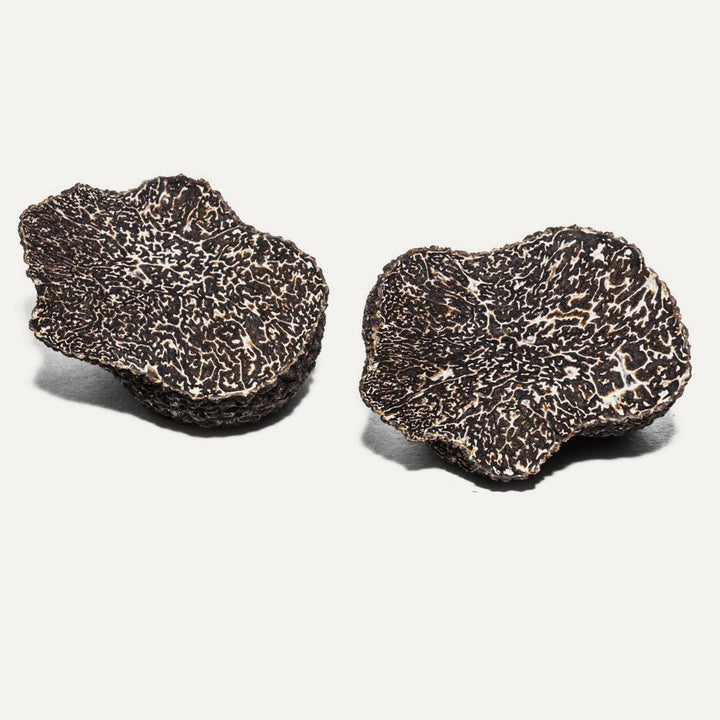 Fresh Australian Black Winter Truffles 2 oz (Tuber Melanosporum) - Sabatino Truffles