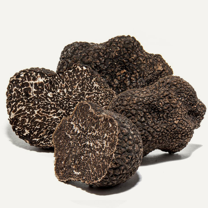 Fresh Australian Black Winter Truffles 8 oz (Tuber Melanosporum) - Sabatino Truffles