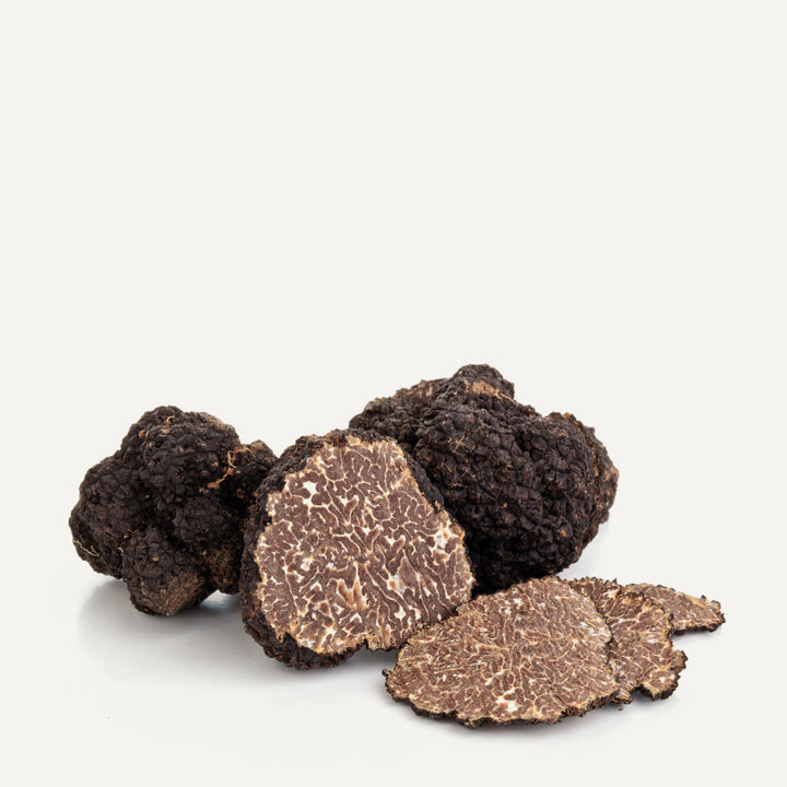 Fresh Black Burgundy Truffles - 4oz - Sabatino Truffles