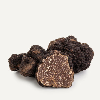 Fresh Black Burgundy Truffles - 8oz - Sabatino Truffles