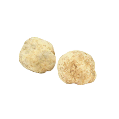 Fresh White Truffles 1 oz (Tuber Magnatum Pico) - Sabatino Truffles