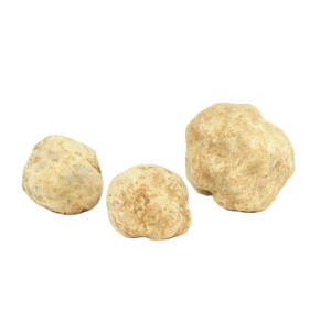 Fresh White Truffles 2 oz (Tuber Magnatum Pico) - Sabatino Truffles