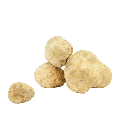 Fresh White Truffles 4 oz (Tuber Magnatum Pico) - Sabatino Truffles